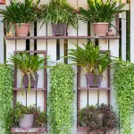 Come creare un giardino verticale in casa