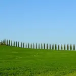 Viaggiare in Toscana: agriturismi