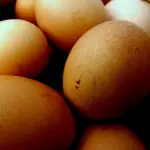 Come fare un uovo sodo