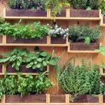 Come creare un orto urbano: istruzioni dettagliate e consigli utili