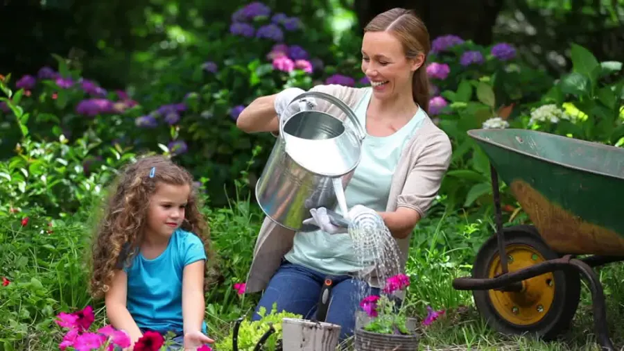 Come fare ad annaffiare le piante