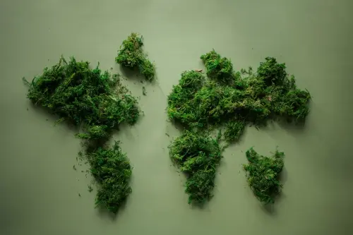 Essere green oggi: piccoli cambiamenti che stanno trasformando il nostro modo di vivere