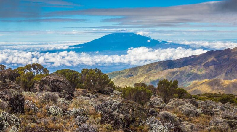 Come organizzare la scalata del Kilimangiaro